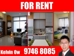 R66 Apartments (D8), Apartment #69541532